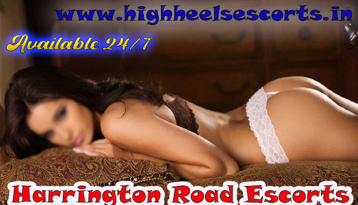 Harrington Road Escorts Service